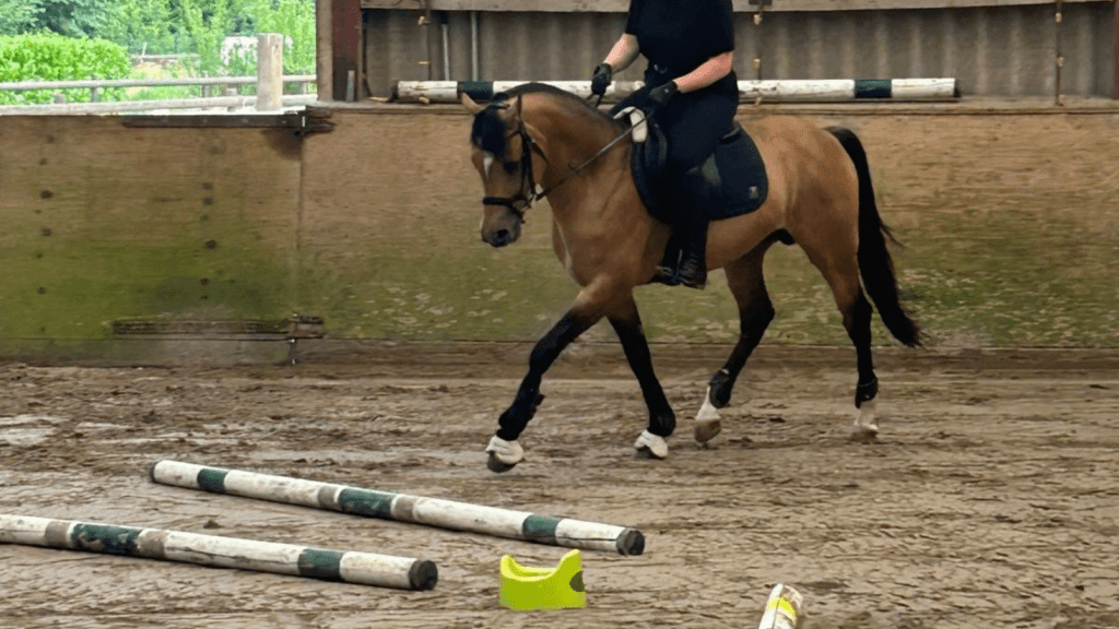 Lehrgang mit Elana&nbsp;Devermann