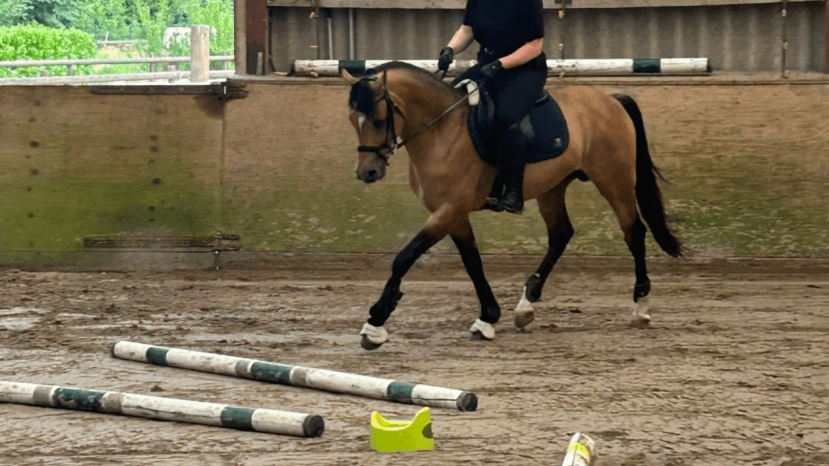Lehrgang mit Elana&nbsp;Devermann