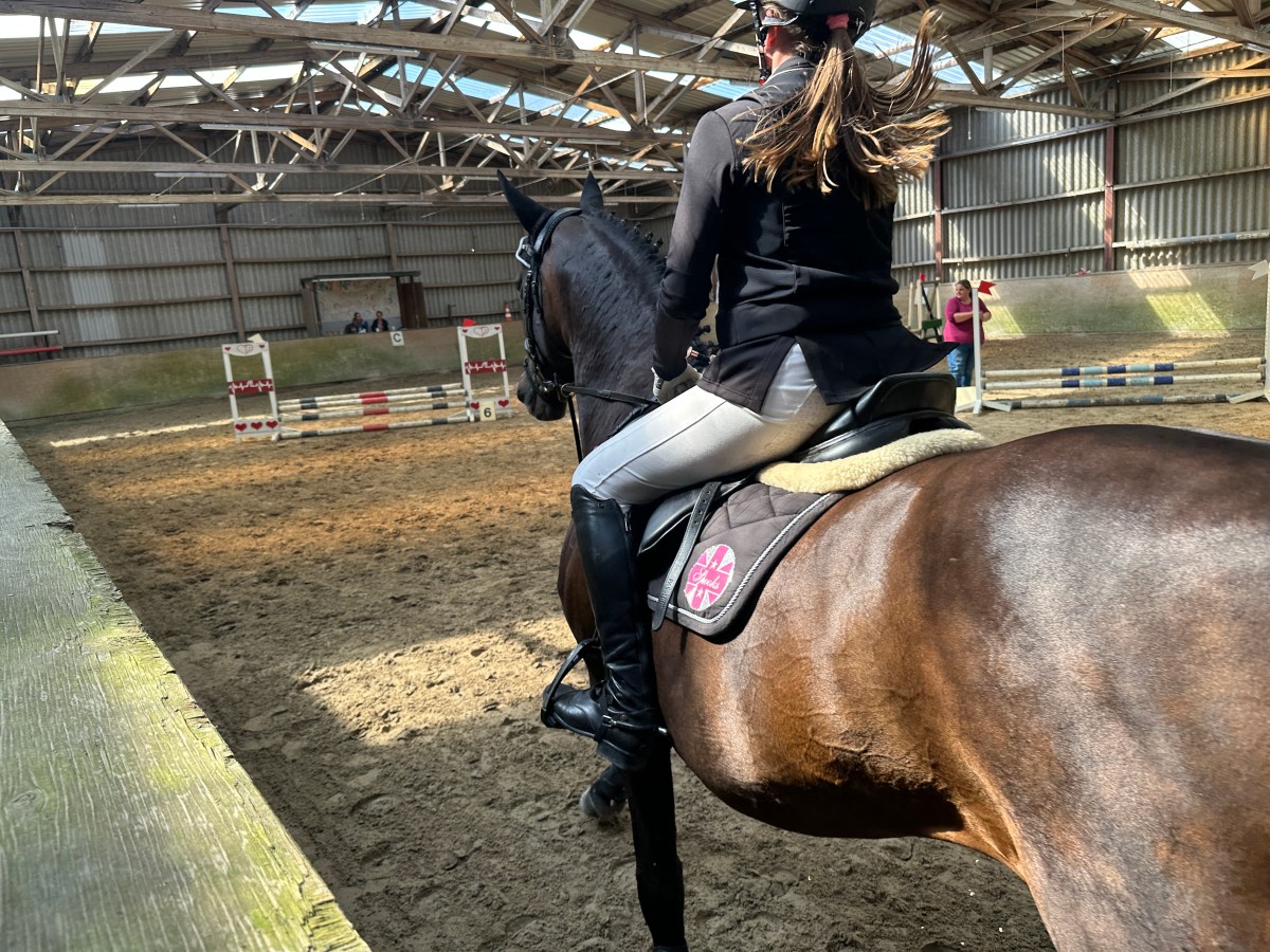 Unser Reitertag: Pferdesport verbindet 